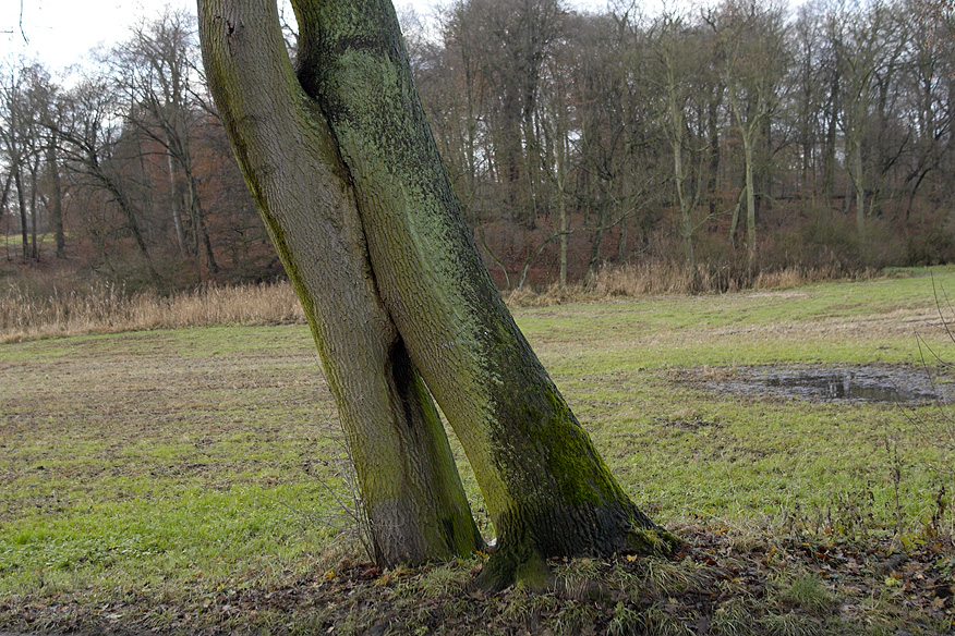 Hamburg, Jenisch Park